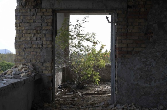 Même au 11e étage, la nature reprend toujours ses droits.