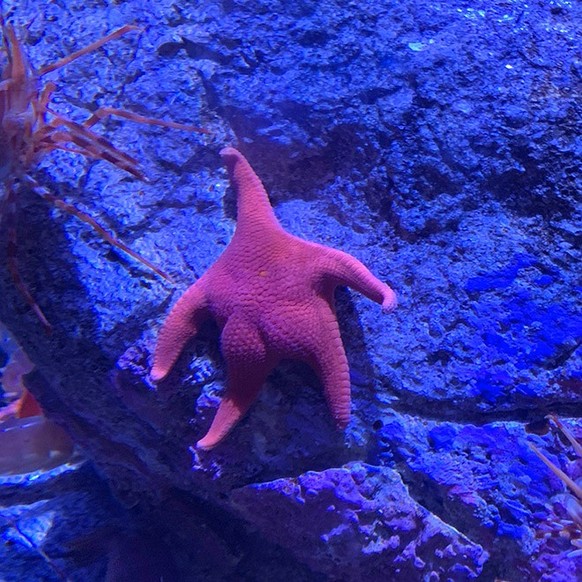 Des fesses dans la nature.