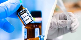 Vaccins Covid: un anticorps à «double visage» interroge