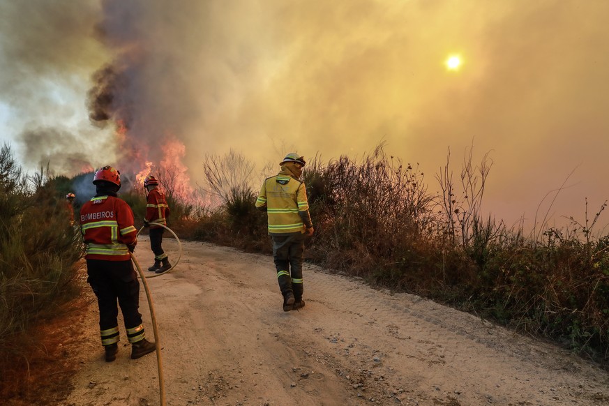 epa11609234 Firefighters fight a fire in the industrial area of ??Nelas, next to the northern railway line, Nelas, Viseu, Portugal, 17 September 2024. At least four people died and two others were ser ...
