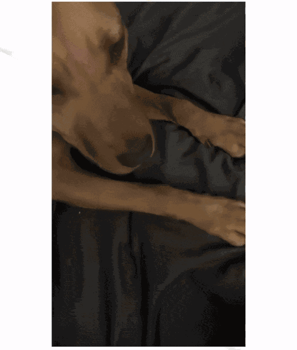 GIF animé