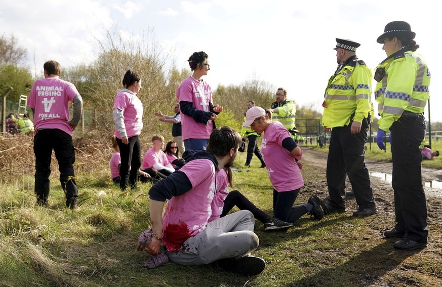 Animal Rising activists are detained by police during day three of the Randox Grand National Festival at Aintree Racecourse, Liverpool, England, Saturday April 15, 2023. (Tim Goode/via AP)