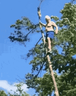 GIF animé