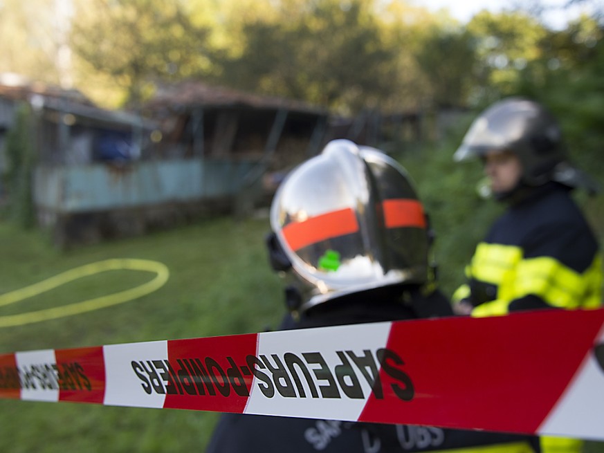Au total, 230 sapeurs-pompiers et pr