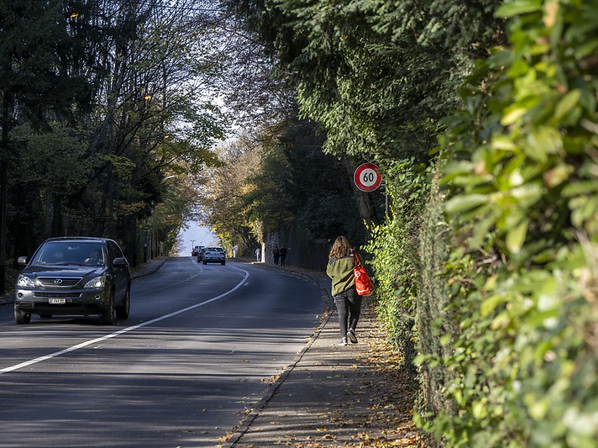 Des voitures et quelques piétons le long de la route de Ferney, dans le canton de Genève.