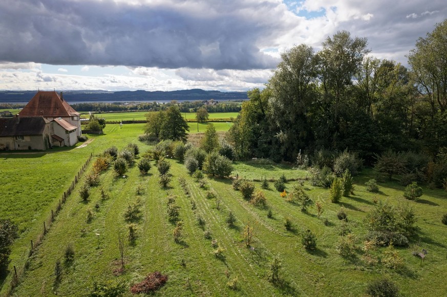 Blick auf die erste didaktische Trüffelfarm Europas in Bonvillars.