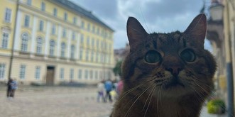 Après six mois d'exil, ce puissant influenceur revient en force en Ukraine