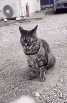 GIF animé