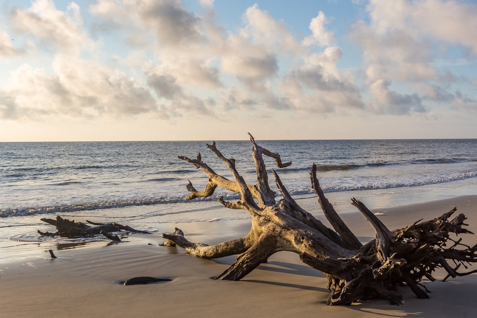 Driftwood Beach, Géorgie