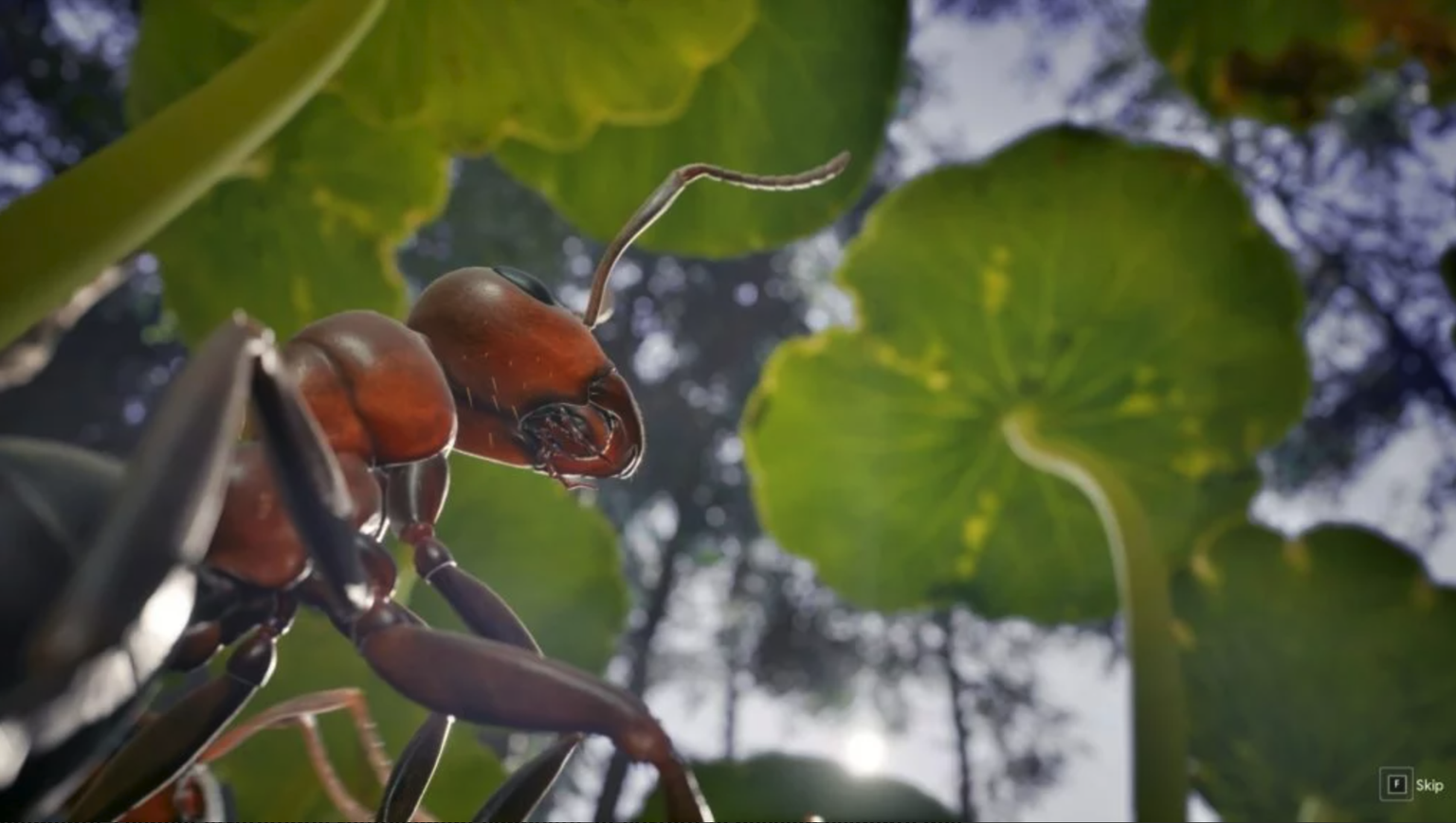 Une fourmis au milieu d’un monde gigantesque, peut faire toute la différence