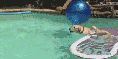 GIF animé