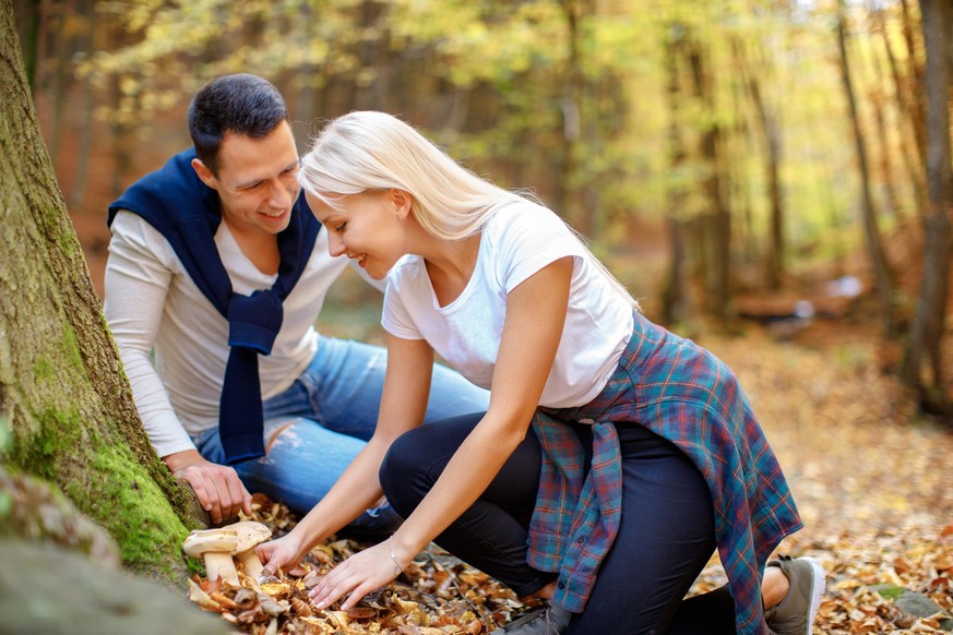 Zusammen romantisch Pilze suchen