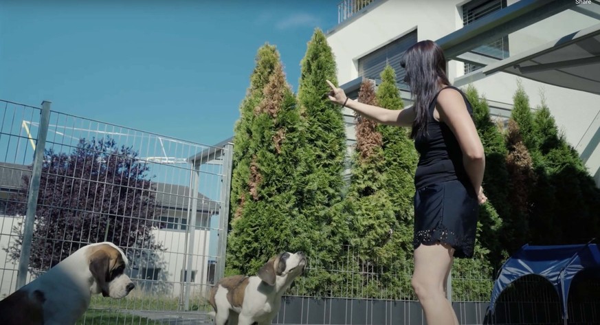 Alexandra Lovisi en plein exercice de dressage