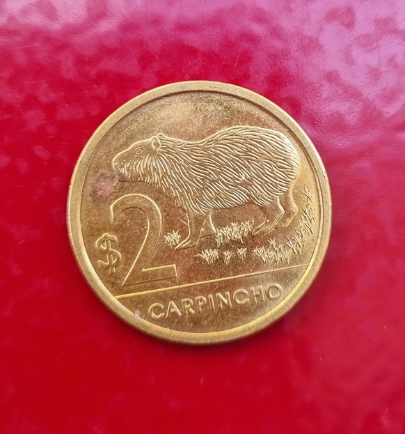 Uruguayan peso