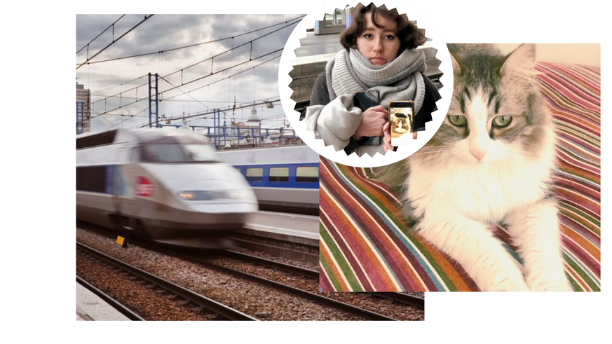 Le chat Neko (chat en japonais), qui avait quatre ans au moment des faits, a été écrasé par un train, à Paris, le 2 janvier dernier. La SNCF est désormais au tribunal pour «atteinte involontaire à la  ...