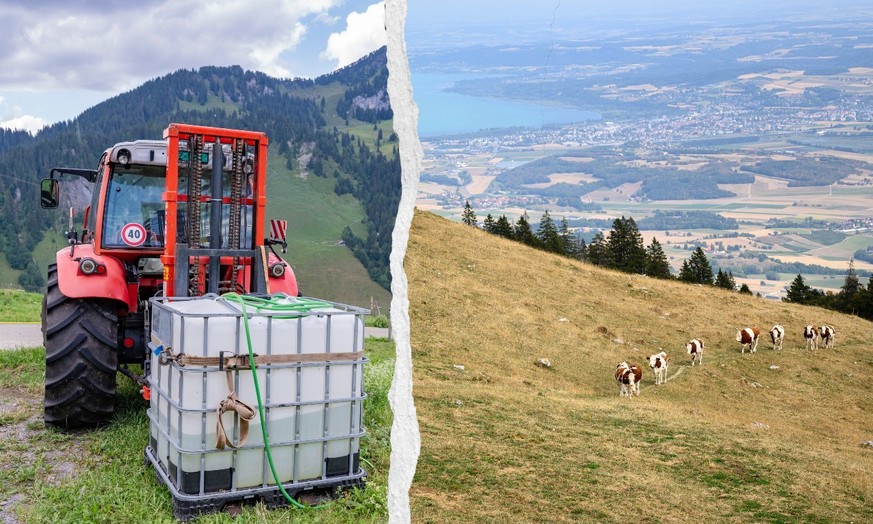 Près d'une exploitation agricole assurée sur deux a déjà annoncé cet été des dégâts dus à la sécheresse et ça pourrait être la pointe de l'iceberg seulement. Sur la base des données recueill ...