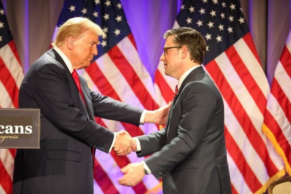 Si Mike Johnson est depuis toujours un fervent partisan de Trump, il semble avoir déçu son nouveau président.