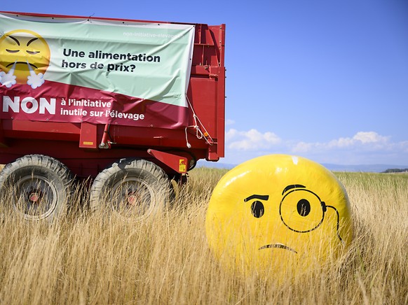 «L&#039;émoji exprime immédiatement le sentiment de la personne qui émet le message», explique Sébastien Salerno.