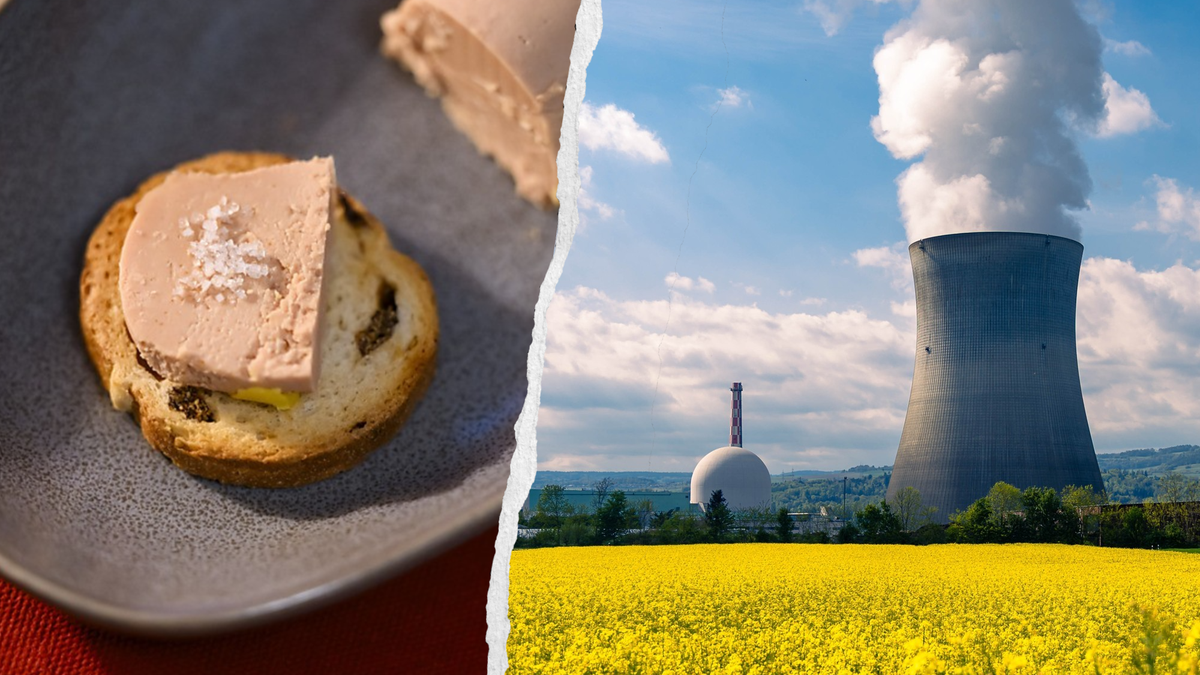 La Suisse votera sur le nucléaire et le foie gras en 2027