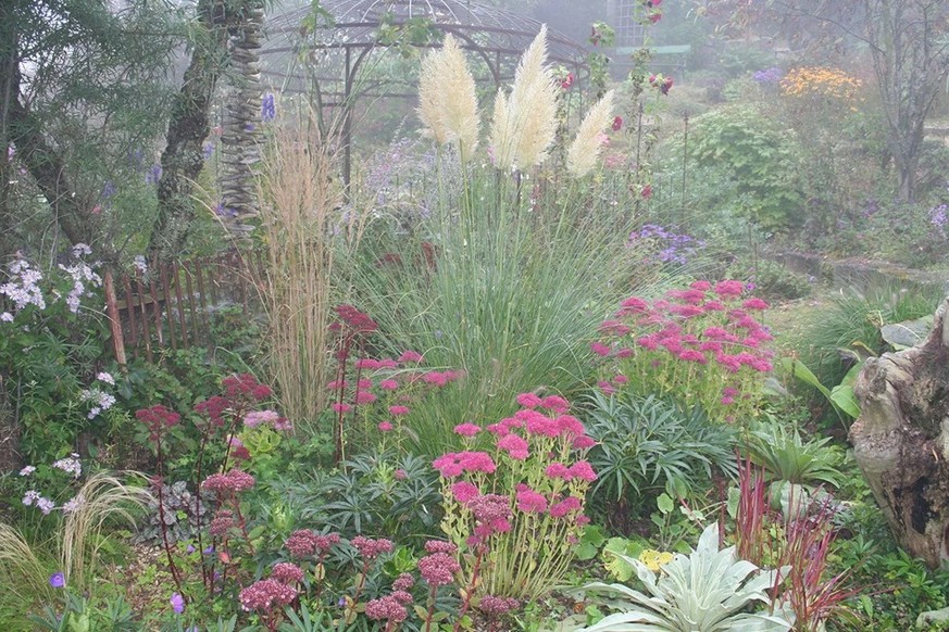 Un jardin luxuriant avec des fleurs rouges, roses, blanches, des longues graminées et des arbustes, dans une atmosphère de brume.