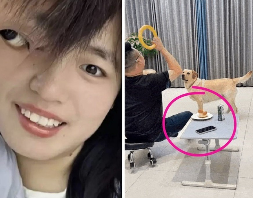 On sait ce que vous voulez: plus de fails! 