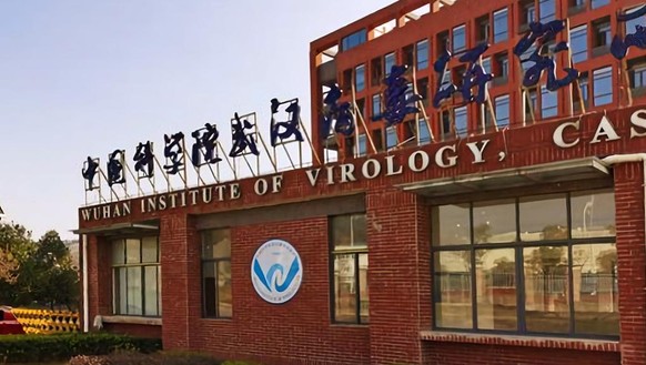 L'Institut de virologie de Wuhan.