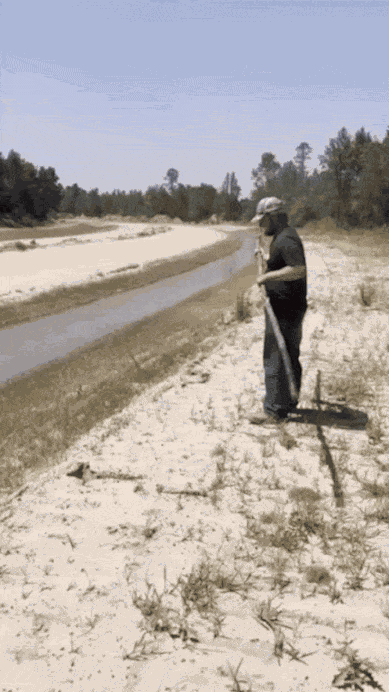 GIF animé