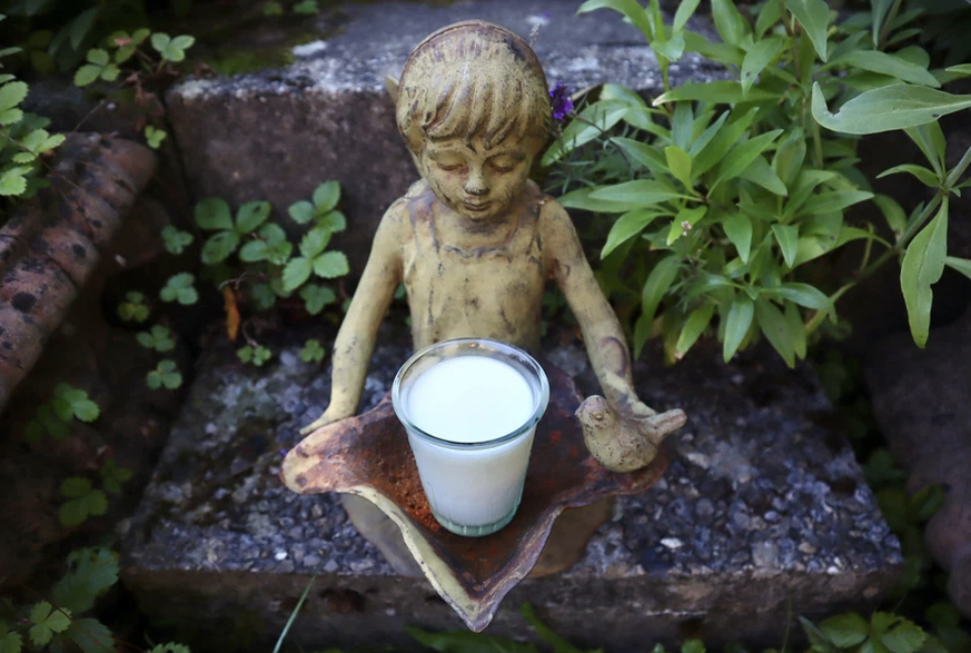 Quand j'étais enfant, j'avais une image «propre» du lait. On ne parlait pratiquement pas du bien-être animal et du climat.