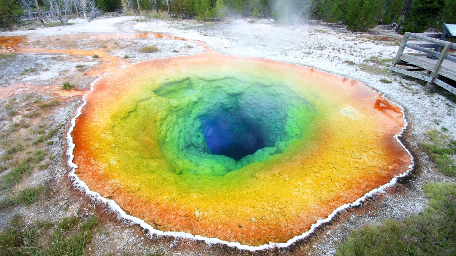 Morning Glory Pool Geysir im Yellowstonepark in der USA.