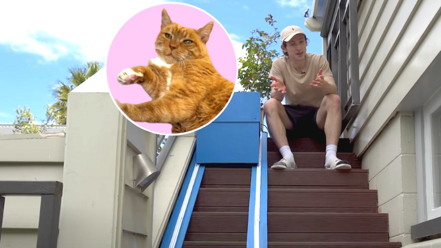 Il construit un ascenseur pour aider son vieux chat 😻