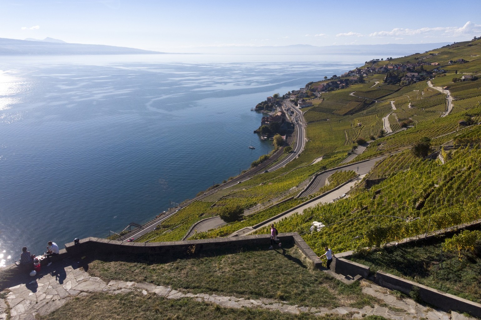 La richesse de la biodiversité de Lavaux est confirmée et saluée par une étude, qui prouve qu'elle n'est pas en régression. Les recherches biologiques mettent toutefois en évidence la grande ...