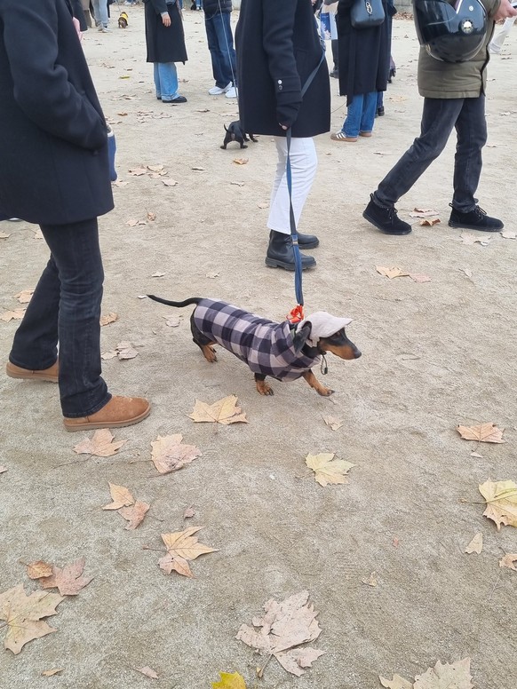 Paris Sausage Walk 2024