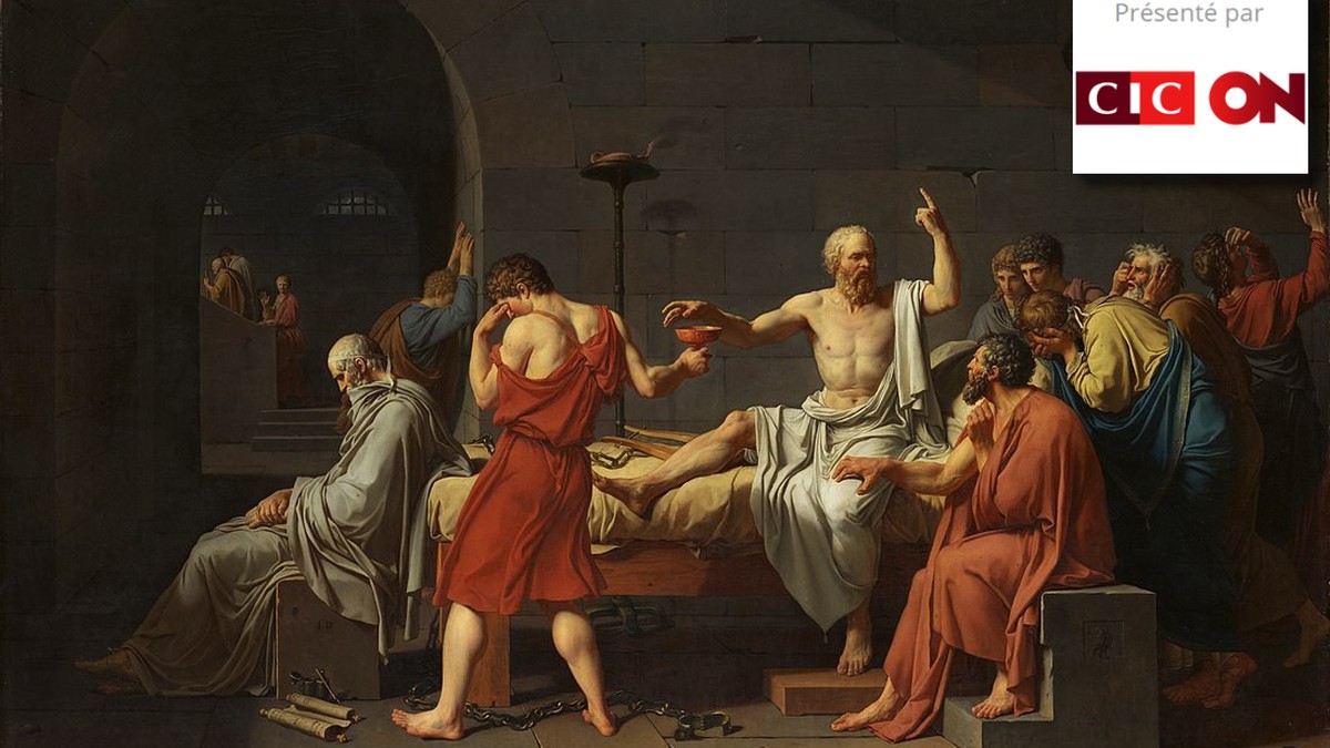 La découverte de l'individualité – une digression historique