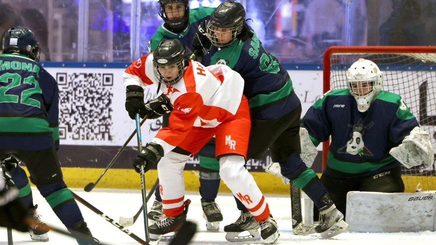 «Le hockey demande du courage et de l'audace, deux caractéristiques des femmes iraniennes», applaudit le président de la fédération nationale.