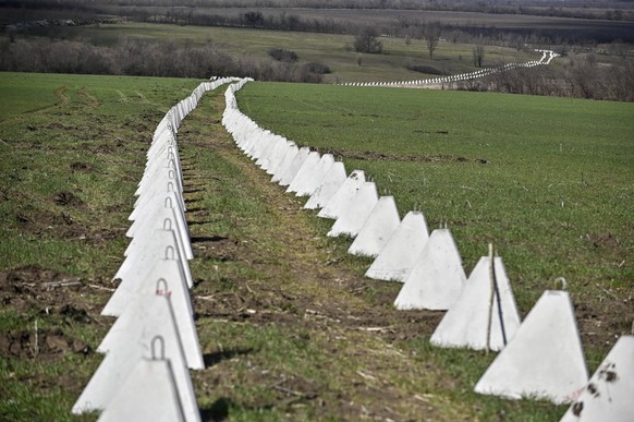 Des dents de dragon dans la région de Zaporijia, en Ukraine
