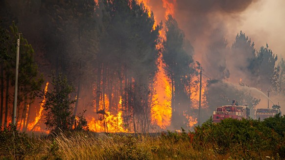 Canicule: Les feux de forêt font rage en Europe