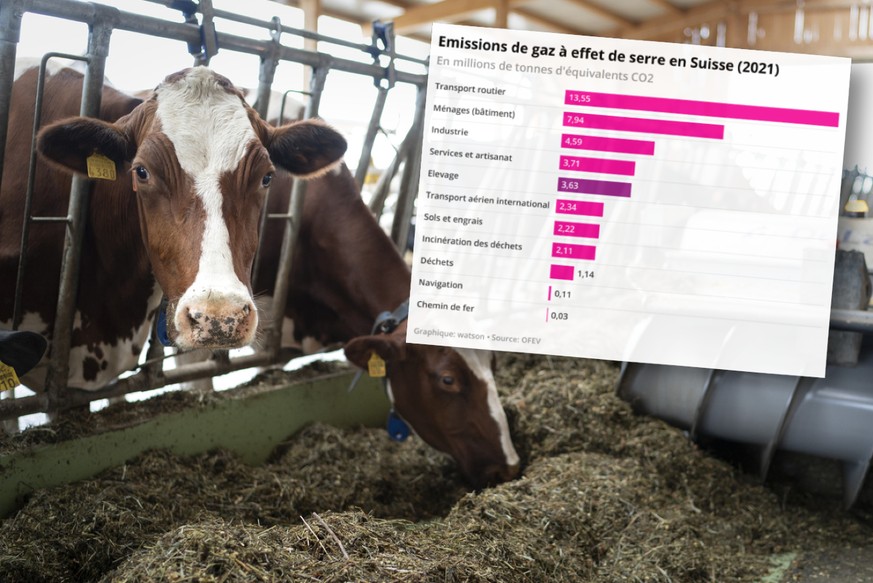 Voici à quel point la viande pollue en Suisse