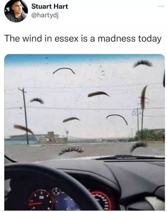 Briten sind die lustigsten: funny Memes