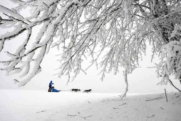 Un jour blanc et froid: les conditions de course idéales.