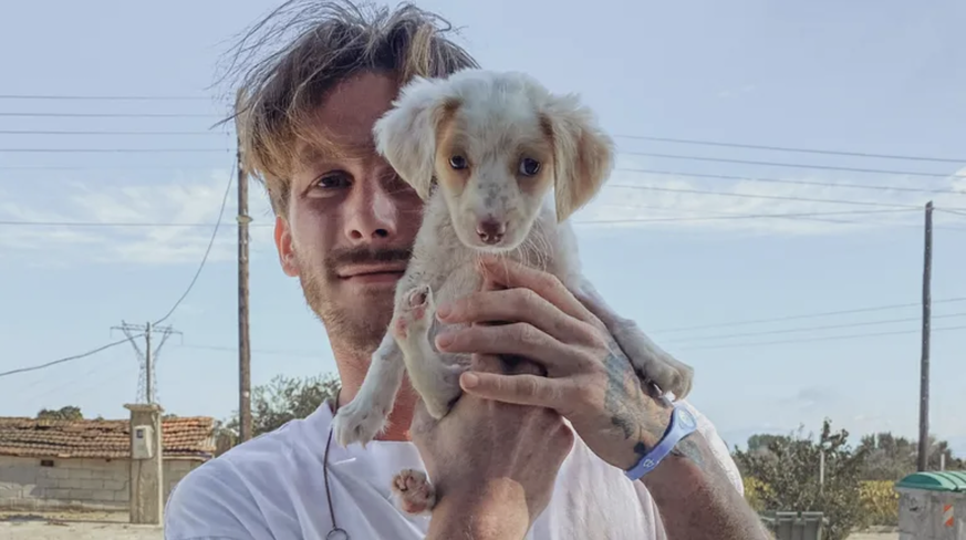 La star de TikTok Malte Zierden avec un chiot chien des rues : l&#039;influenceur s&#039;engage pour le bien-être des animaux. (Source : Privé)