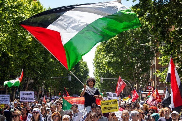 epa11332855 Protesters take part in a demonstration in support of the Palestinian people, in Madrid, Spain, 11 May 2024. More than 34,900 Palestinians and over 1,455 Israelis have been killed, accordi ...