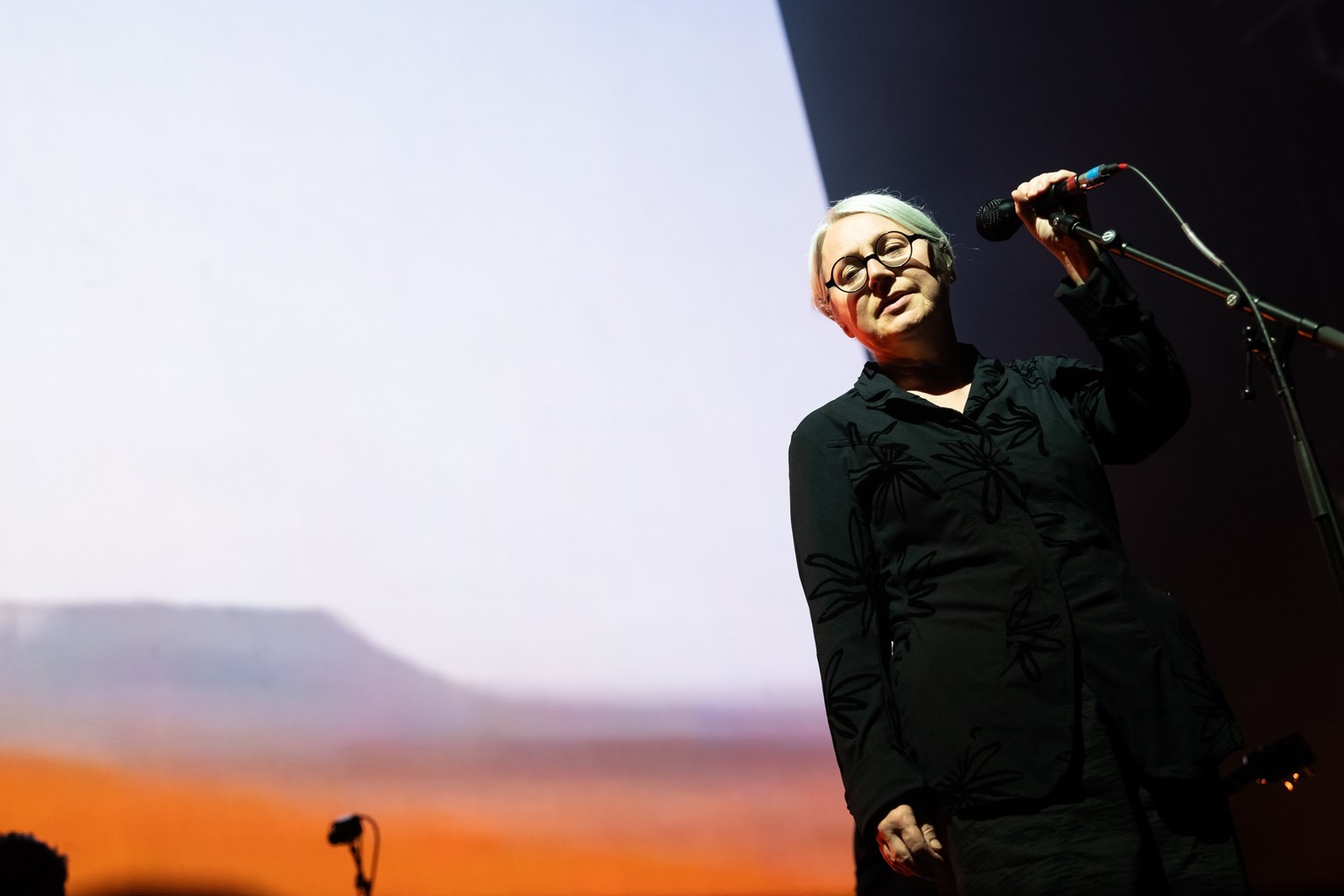 Massive Attack au Montreux Jazz Festival 2024