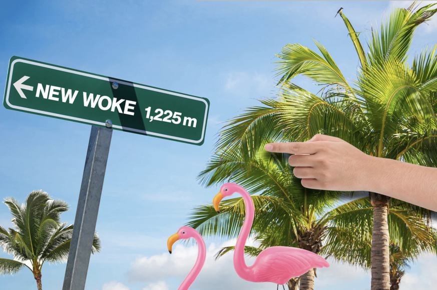 palm beach floride woke new york anti-woke