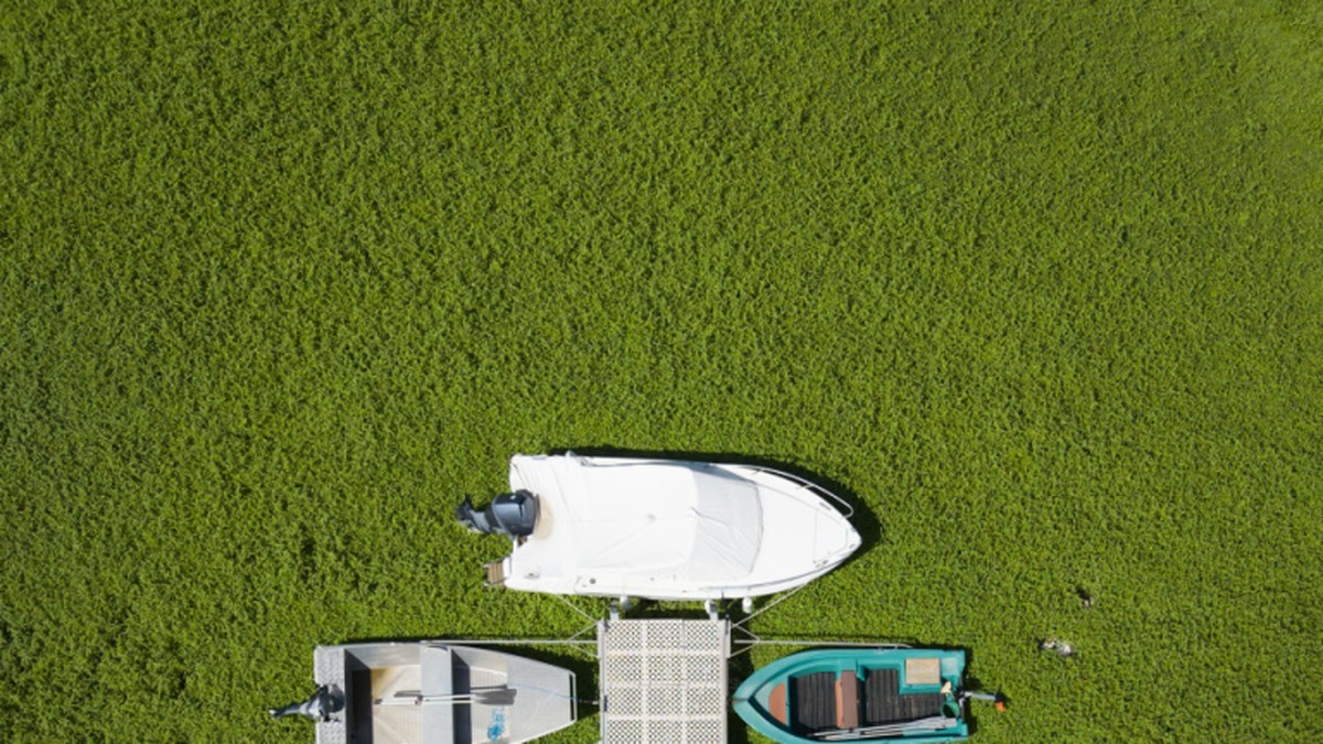Le lac des Brenets est à sec et inquiète autant qu’il fascine