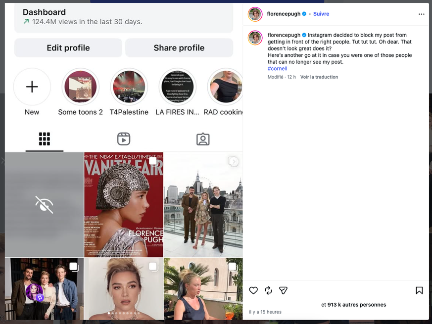 Comble de l'ironie : la publication de Florence Pugh est temporairement indisponible sur Instagram – en raison de son « contenu sensible ».