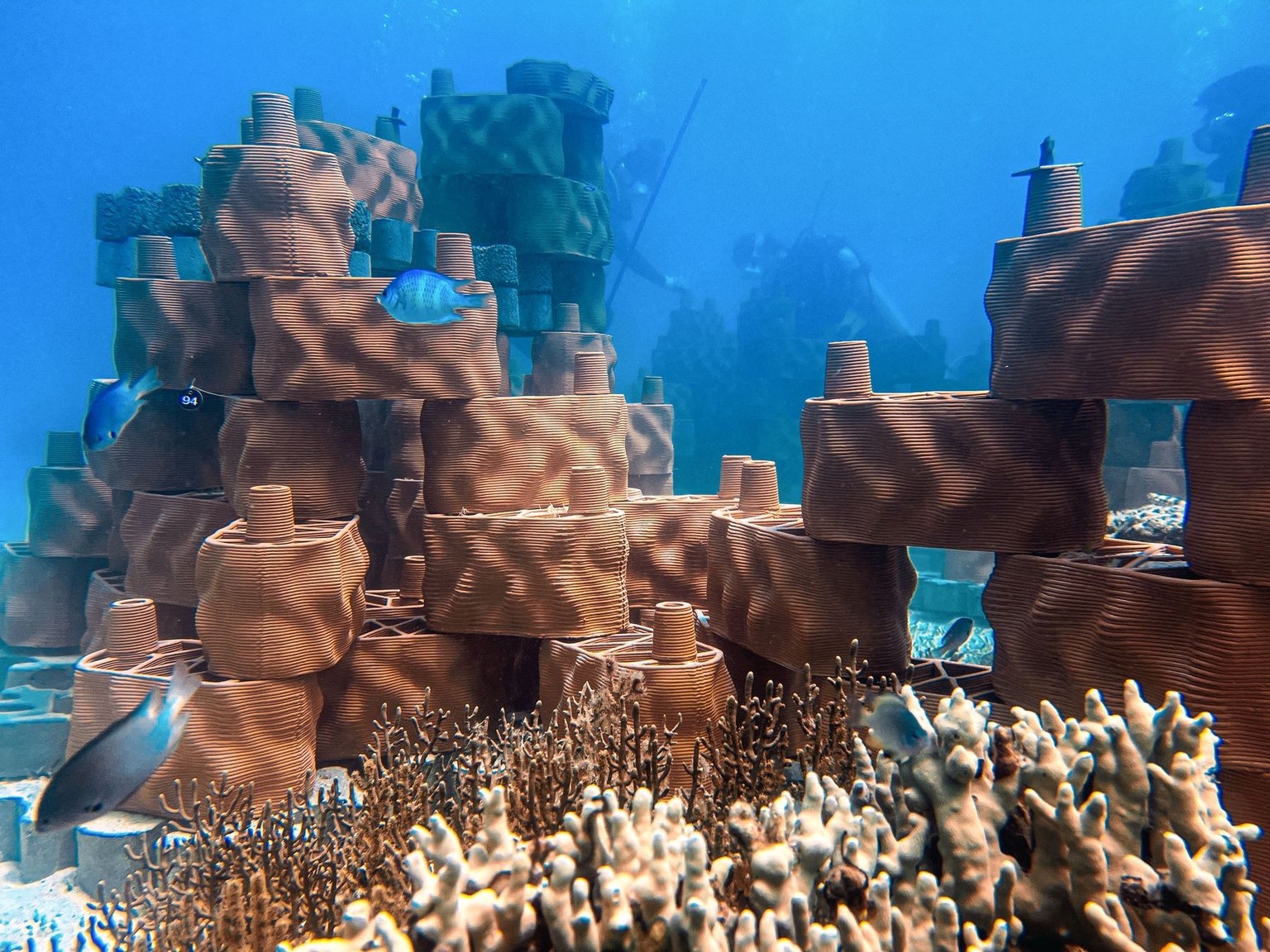 rrreefs Tonmodule, künstliches Korallenriff