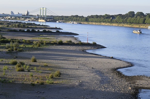 06.08.2022, Nordrhein-Westfalen, K�ln: Ein Schiff f�hrt auf dem Rhein bei K�ln. Der Fluss f�hrt Niedrigwasser auf Grund des geringen Niederschlags. Die Schiffe fahren nur mit halber Ladung, damit sie  ...