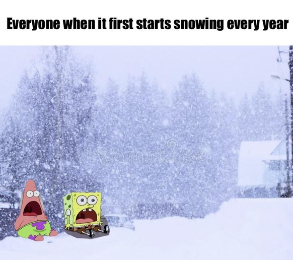 Schnee Memes