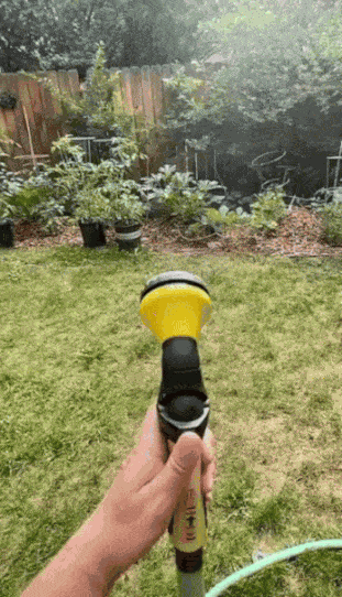 GIF animé
