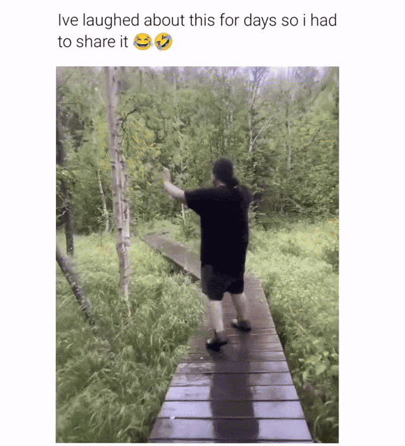 GIF animé